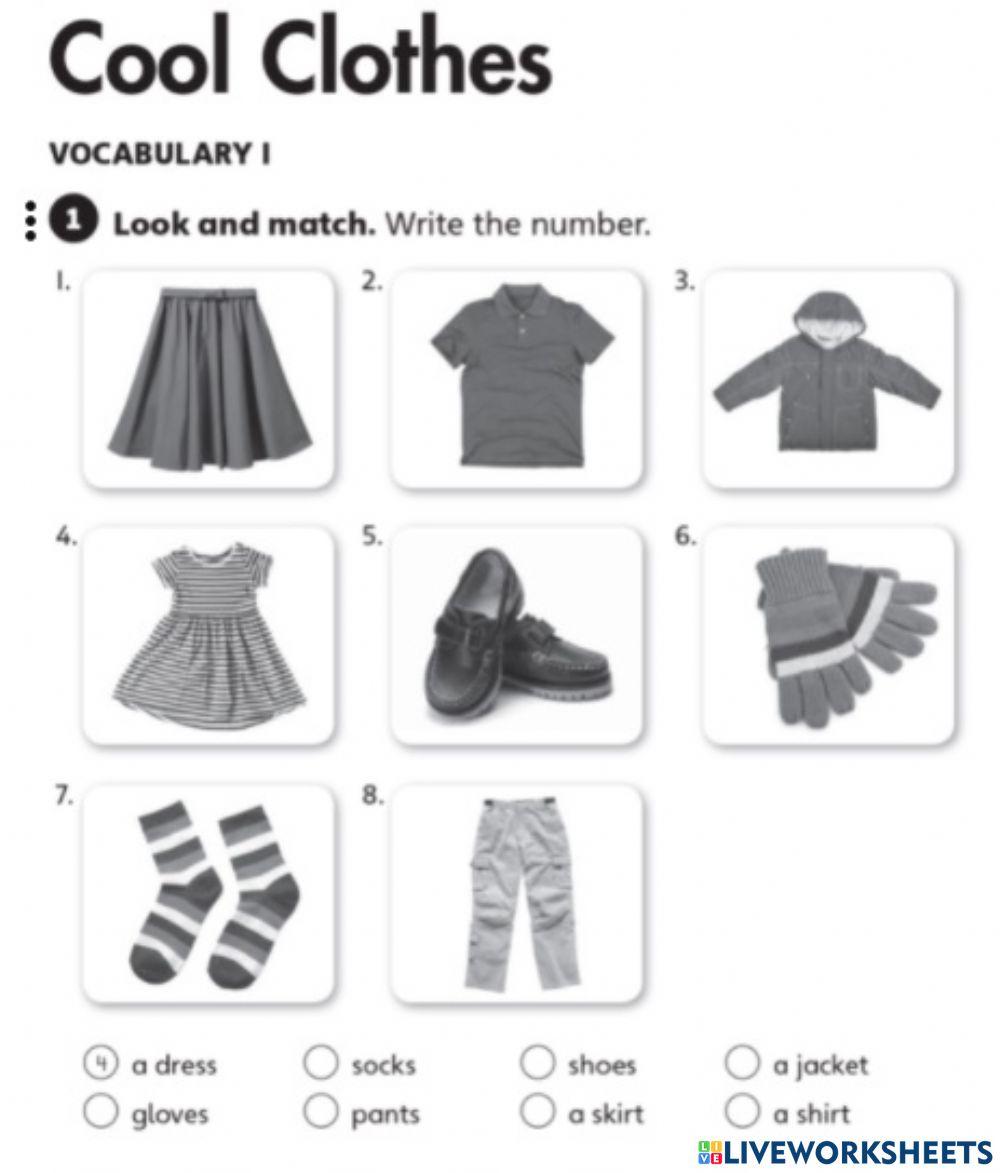 Vocabulary 1