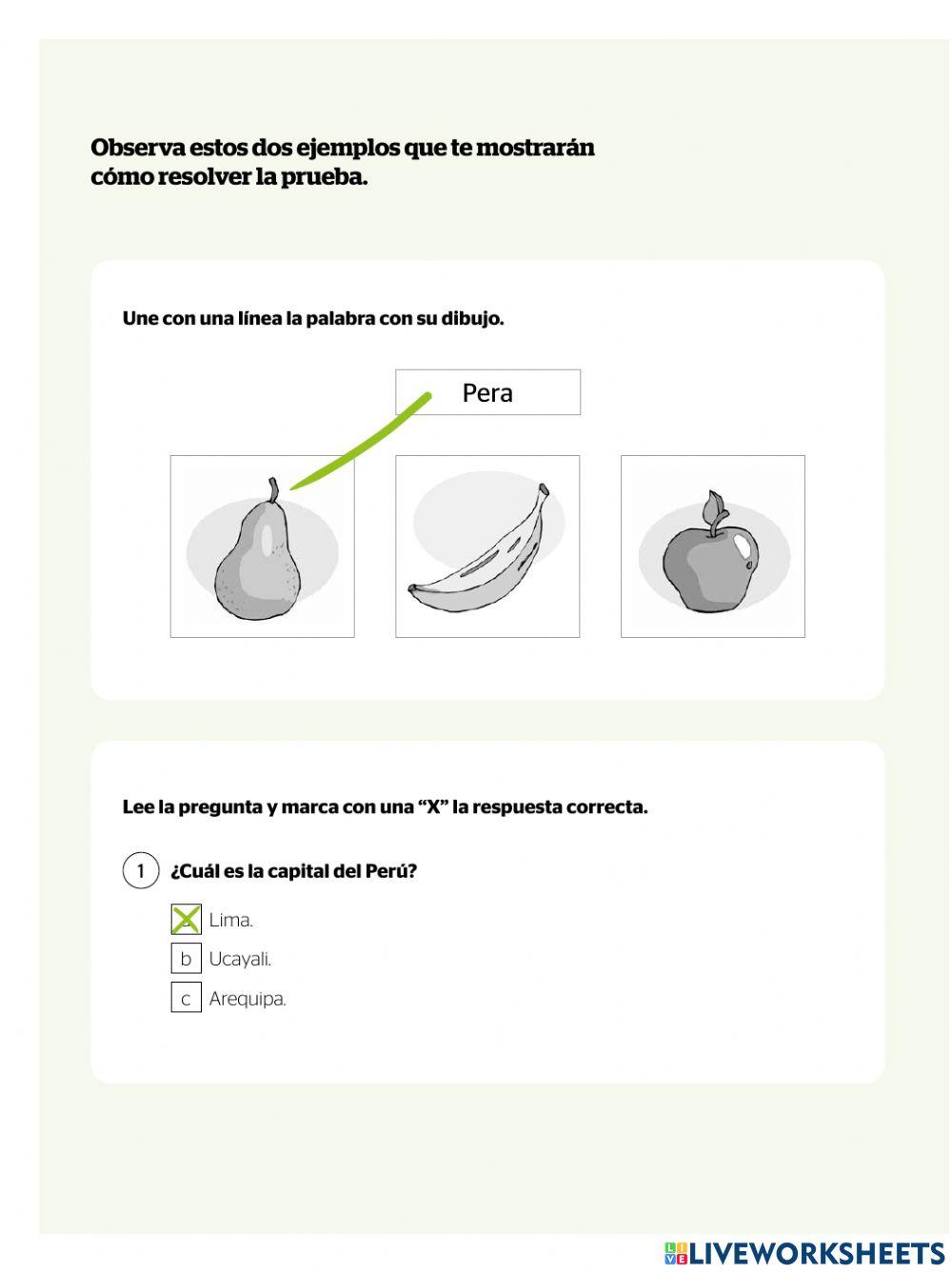 Prueba diagnóstica Lectura