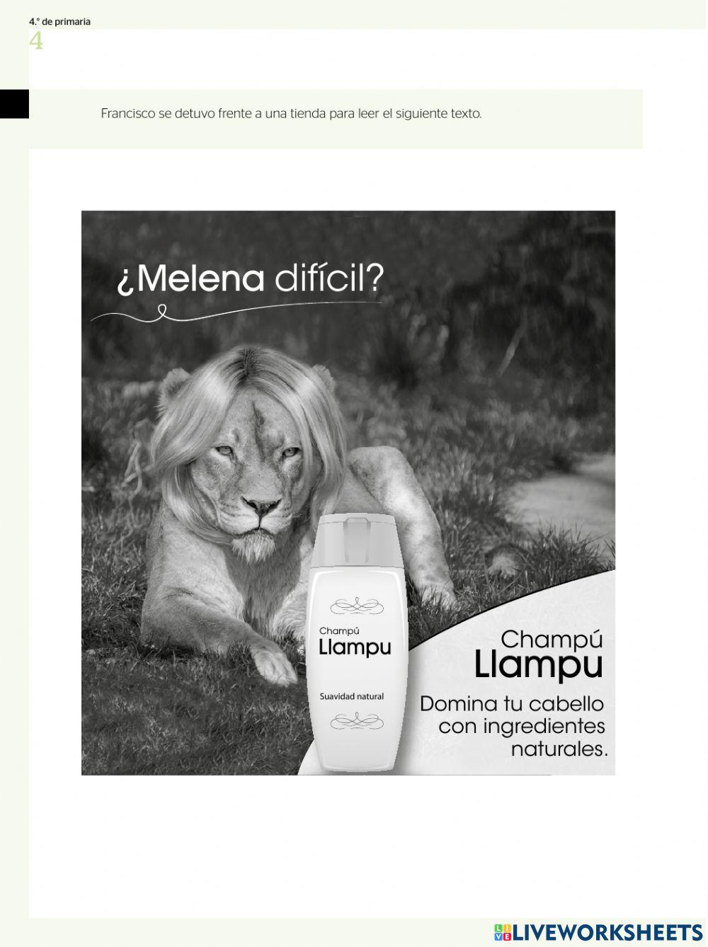 Preguntas de Evaluación Diagnóstica 4to.