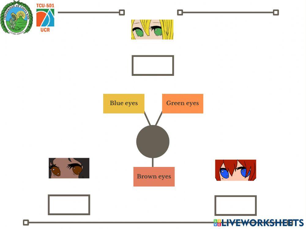 Physical Appearance by Audry Portilla Baradín