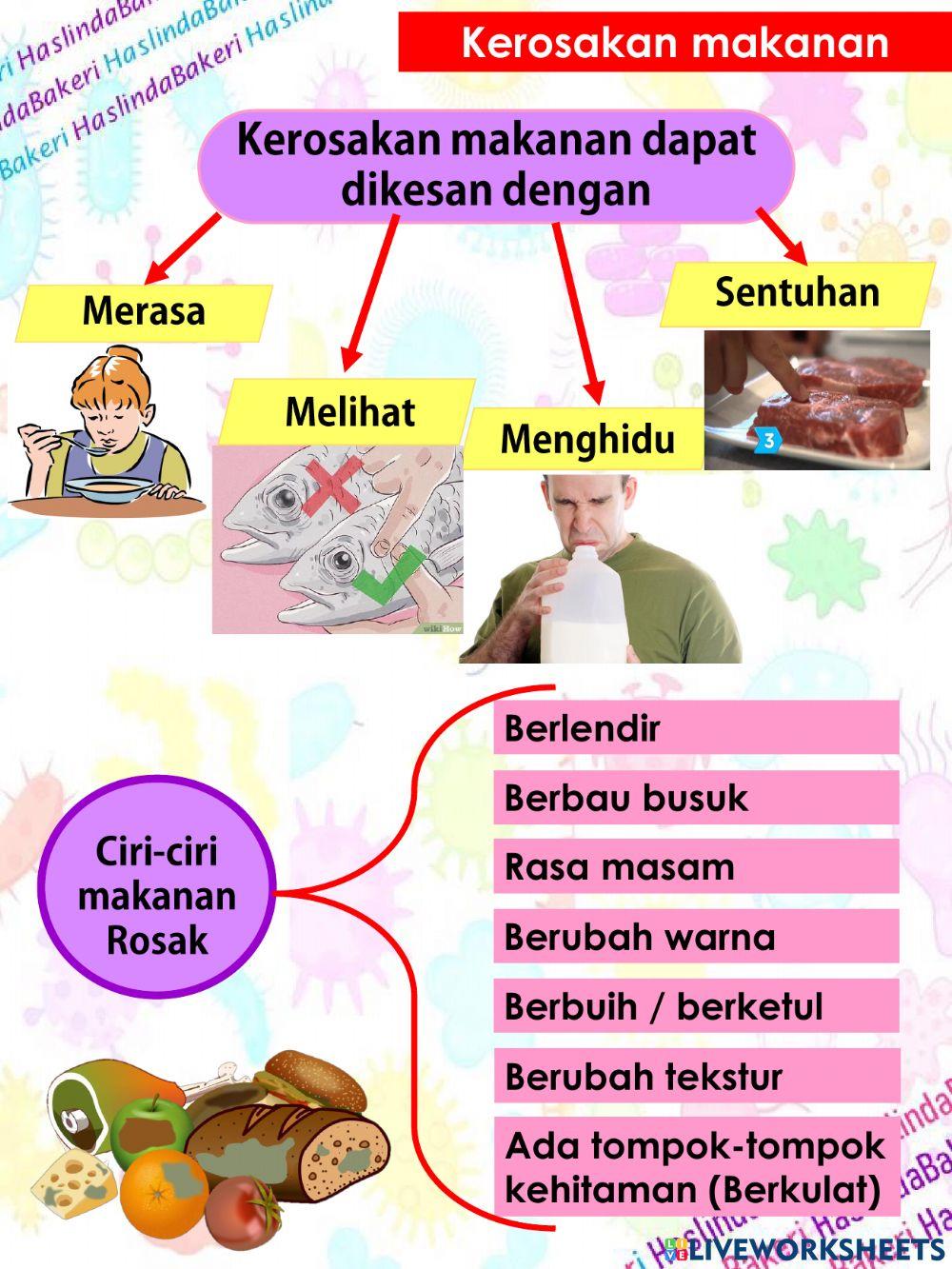 Sains Tahun 6 : Kerosakan makanan