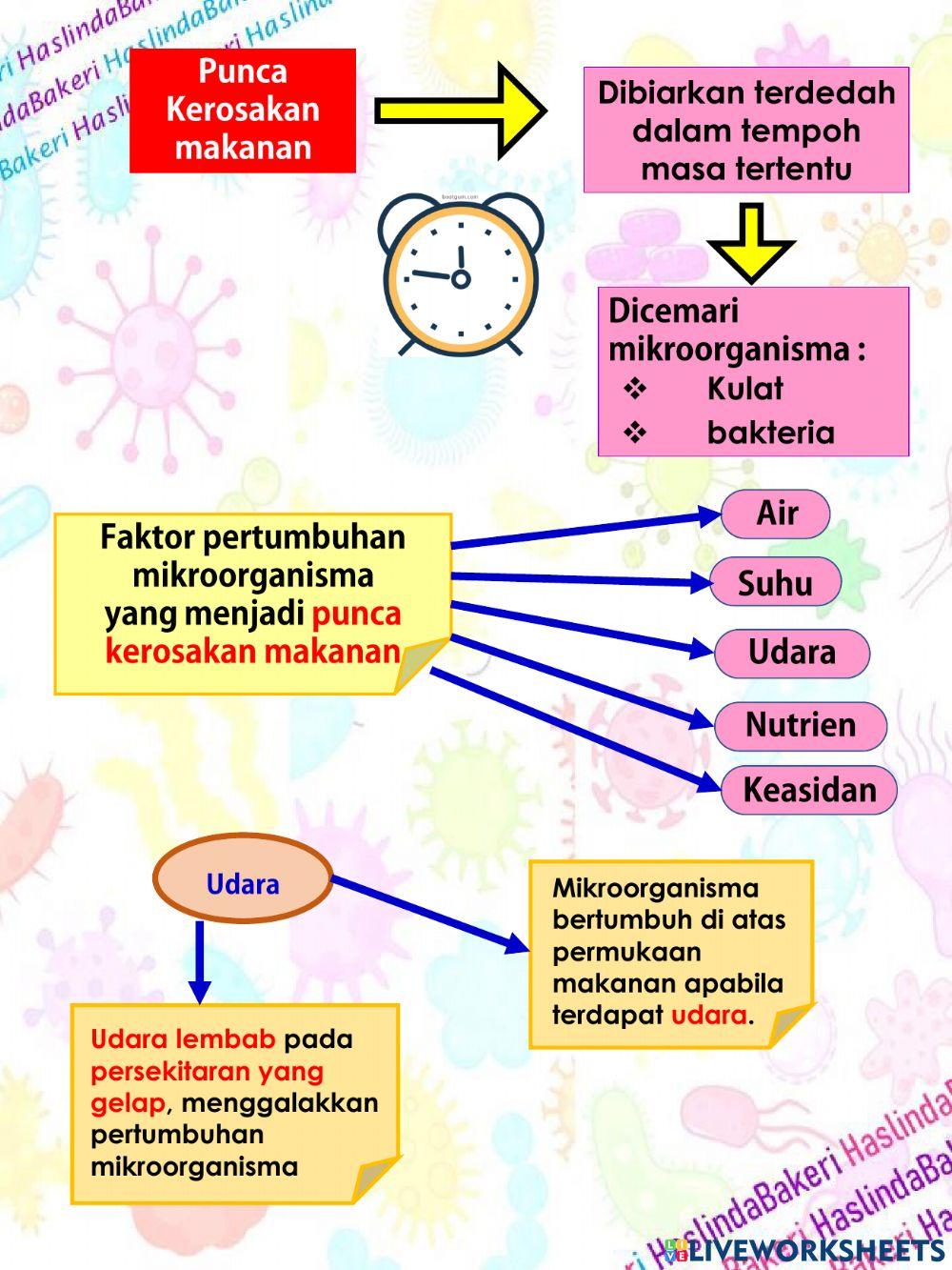 Sains Tahun 6 : Kerosakan makanan