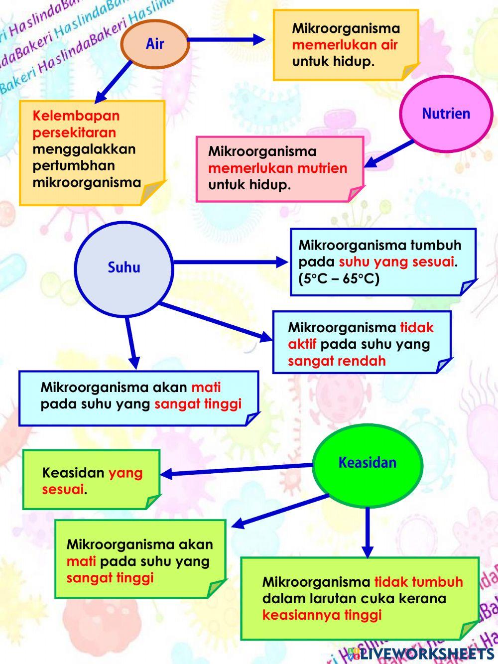 Sains Tahun 6 : Kerosakan makanan