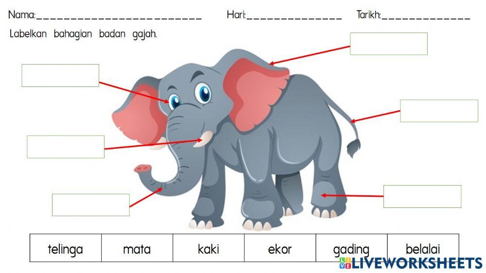 Label Bahagian Tubuh Gajah