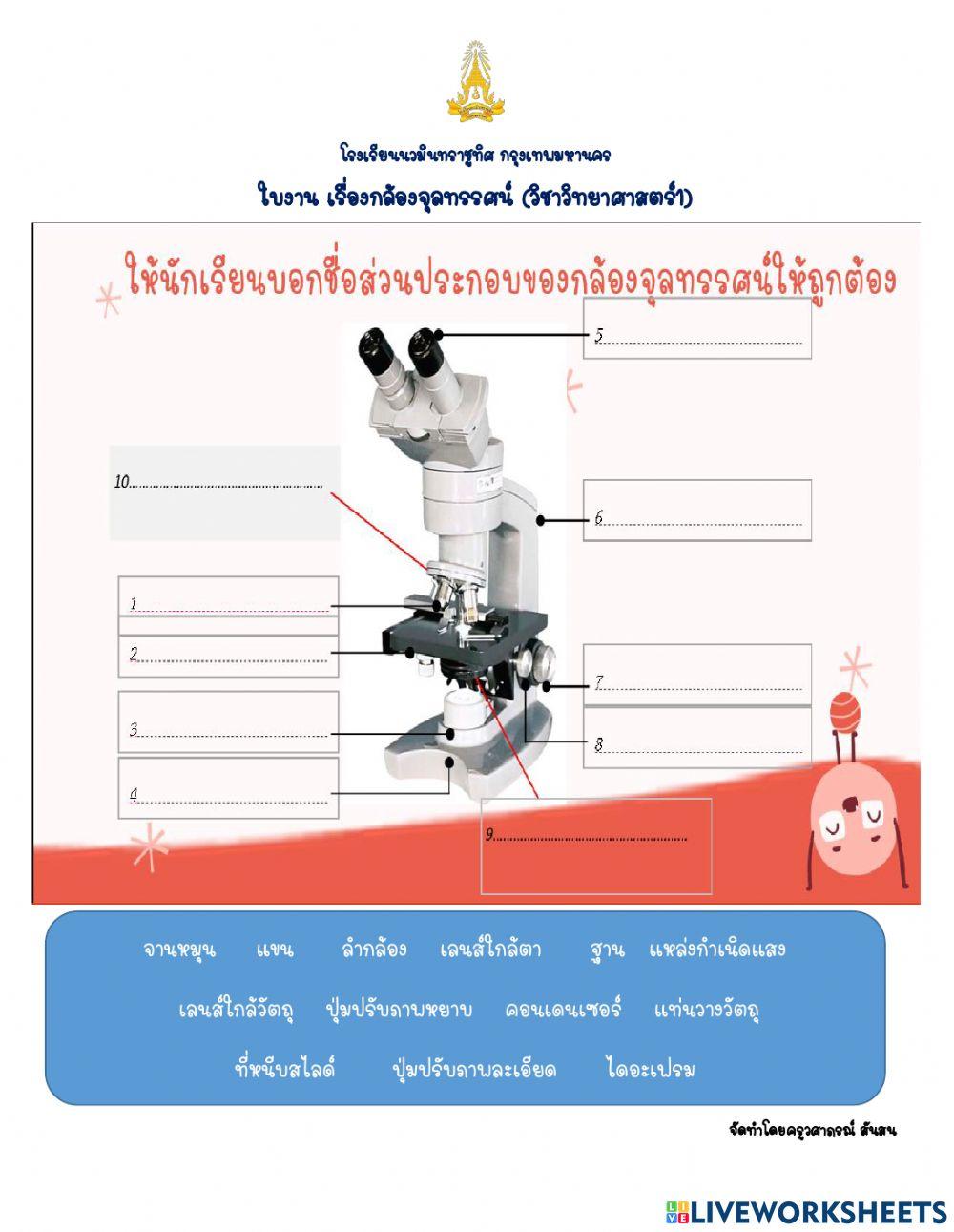 กล้องจุลทรรศน์