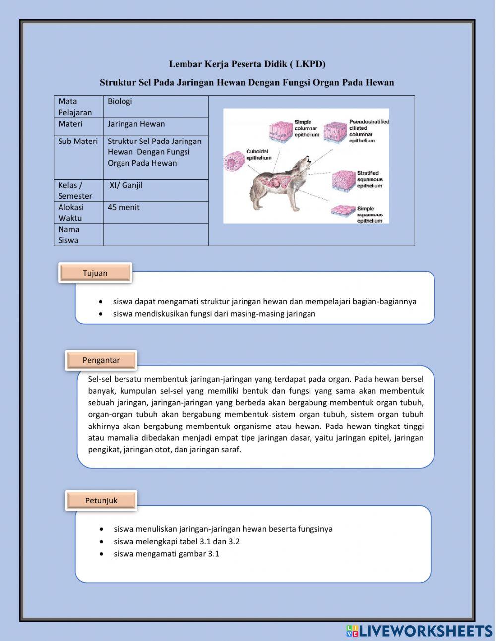 Struktur Sel Pada Jaringan Hewan Dengan Fungsi Organ Pada Hewan