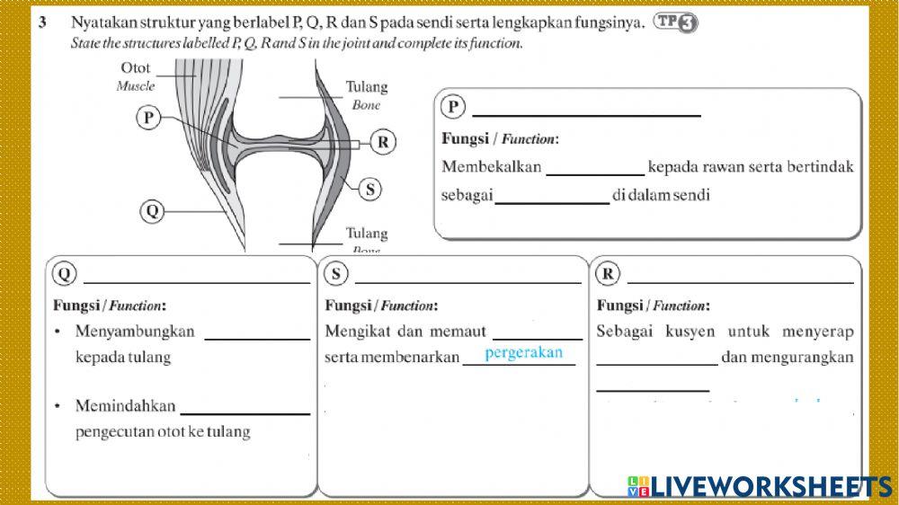 Bab 6 sokongan pertumbuhan