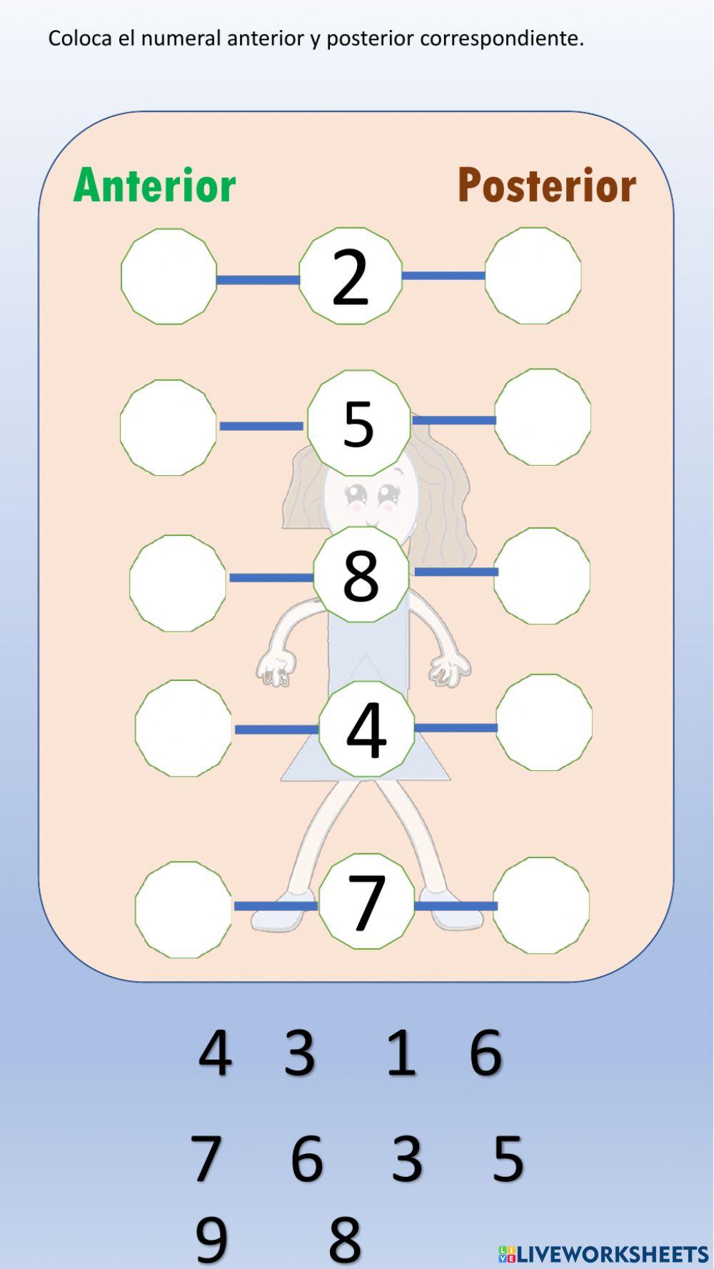 Coloca los numerales anterior y posterior correspondientes.