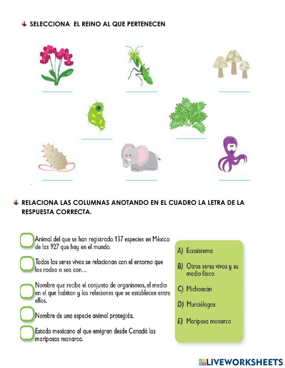 Diversidad de los seres vivos