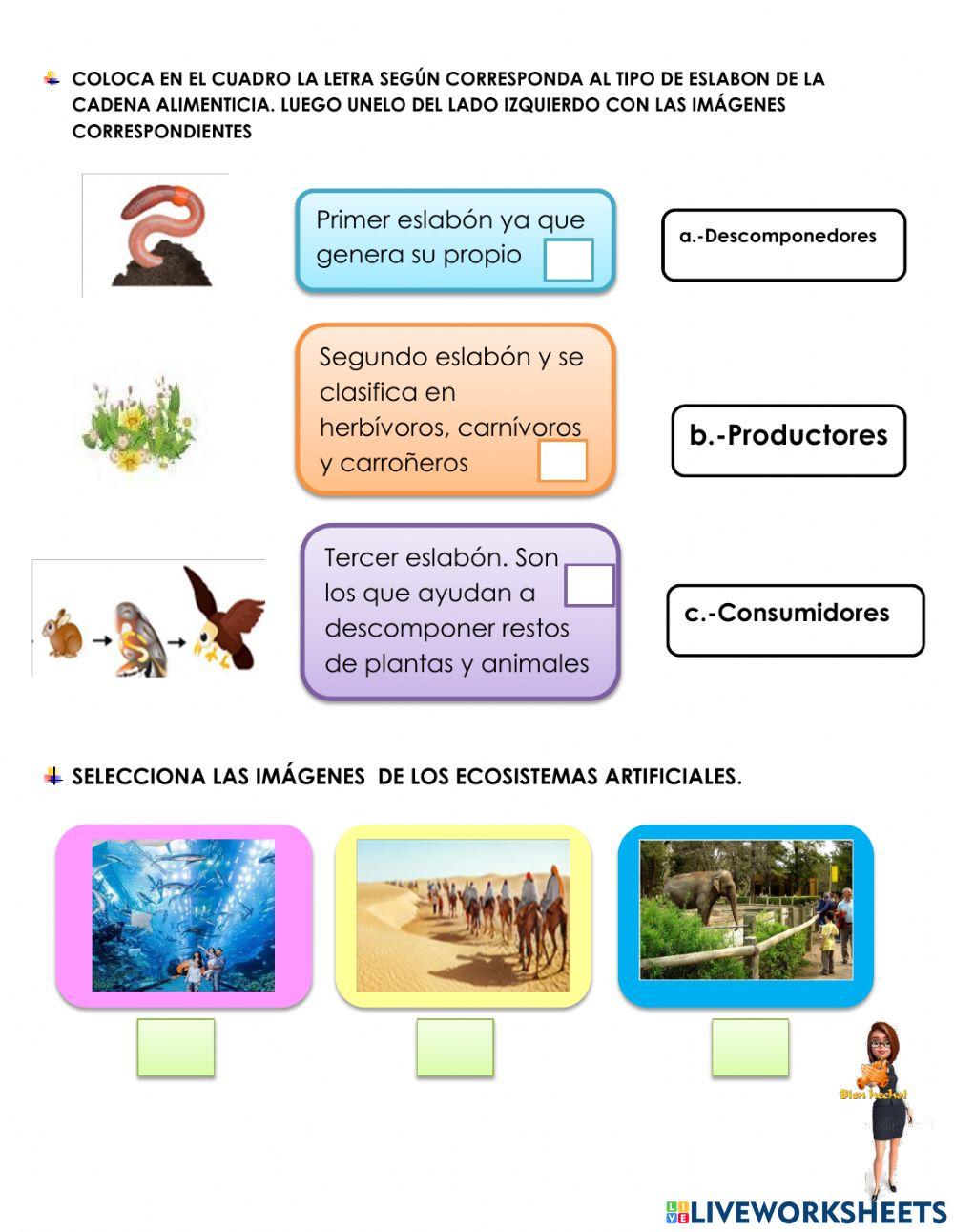 Diversidad de los seres vivos