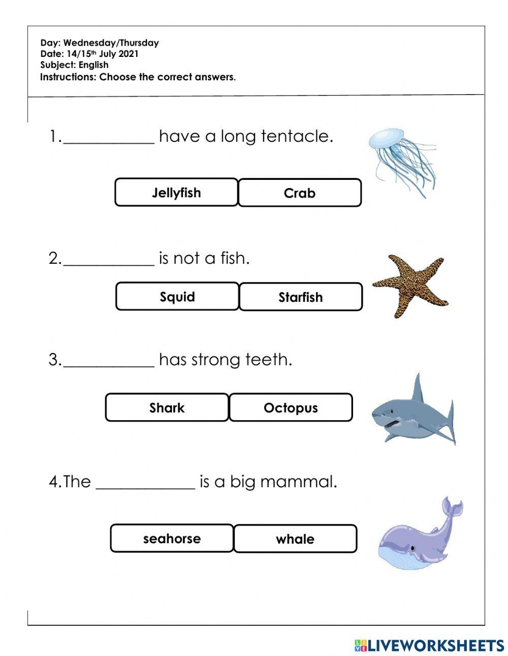 Tugasan pkp 3.0 bi (6tahun)