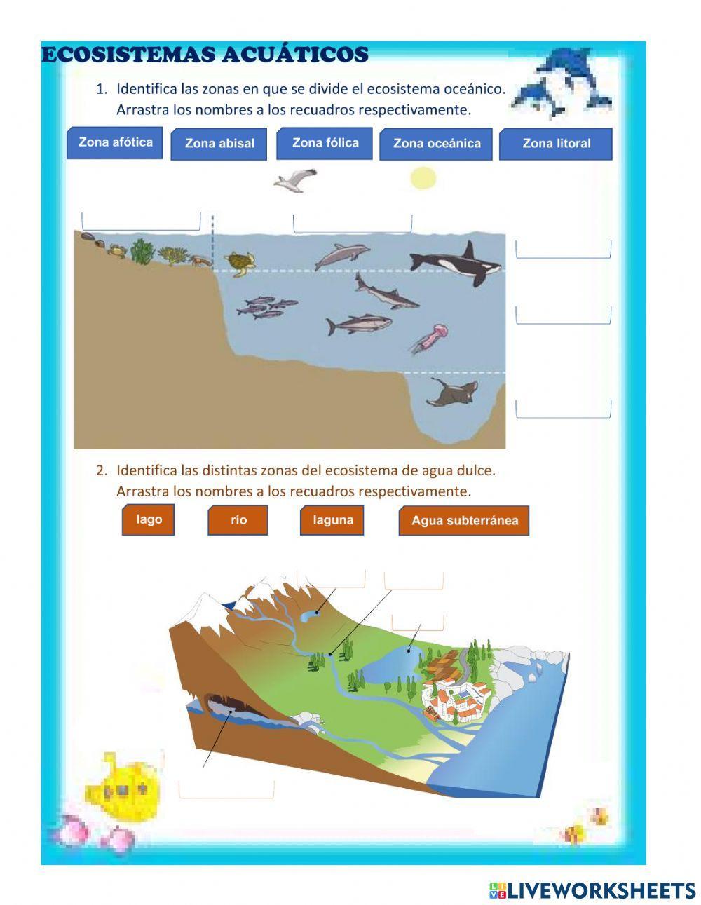 Ecosistema Acuático