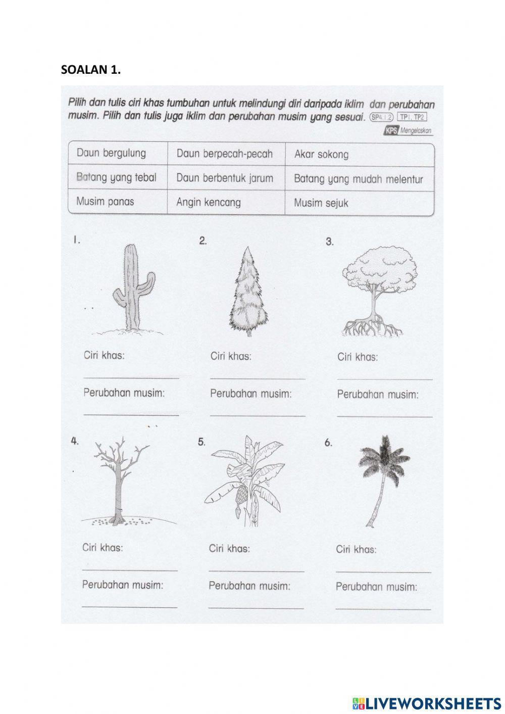 Kemandirian tunbuhan