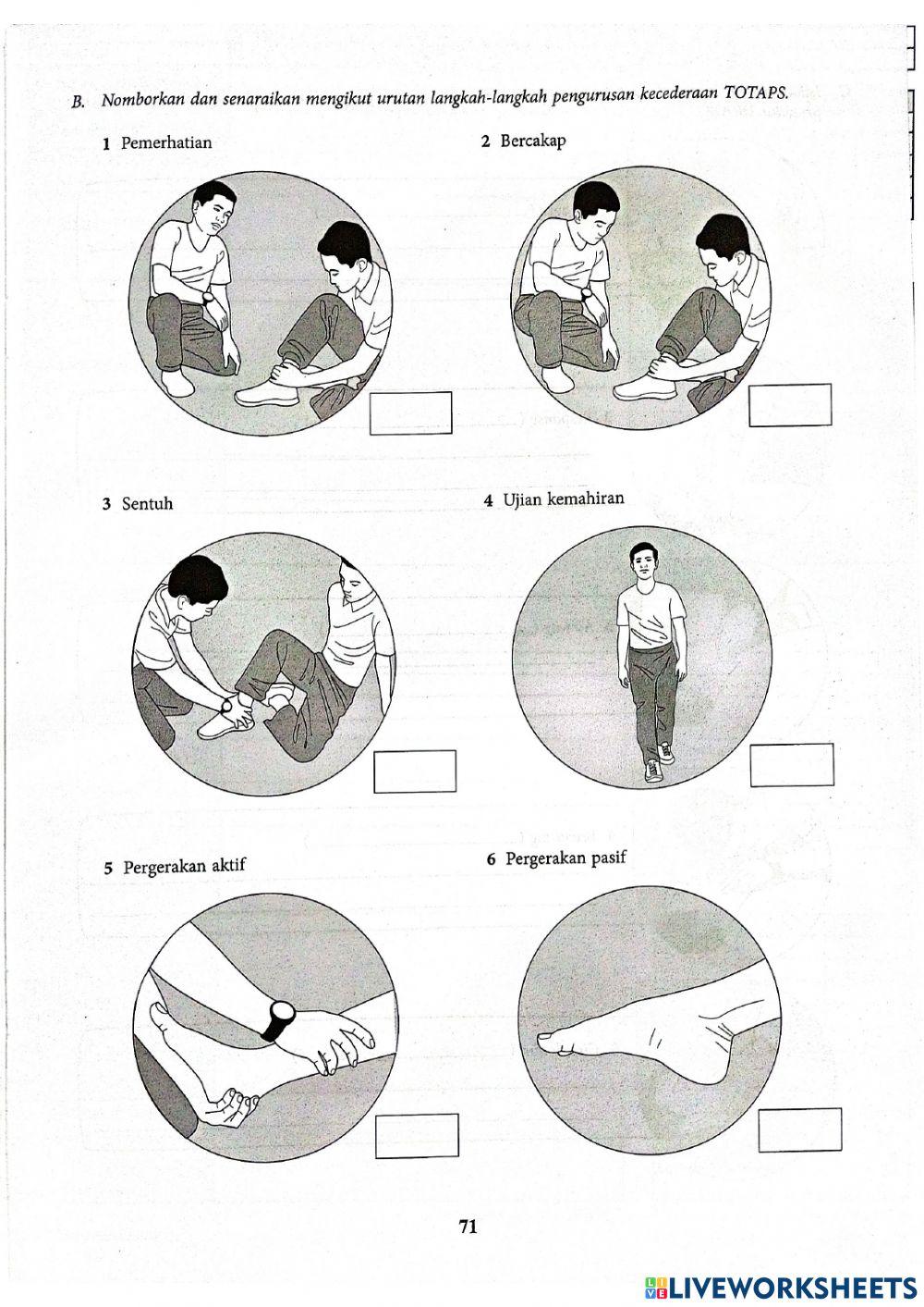 7.3 pengurusan kecederaan sukan