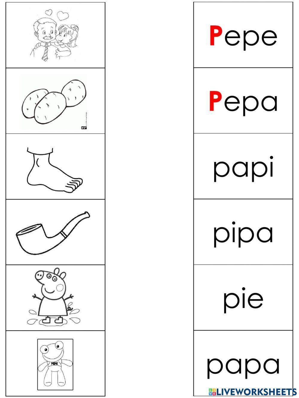Práctica vocabulario Letra P