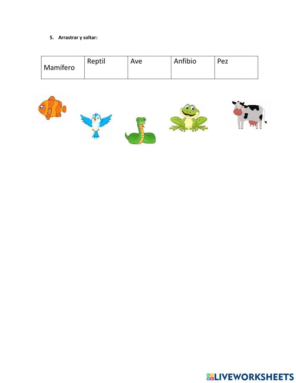 Animales Vertebrados