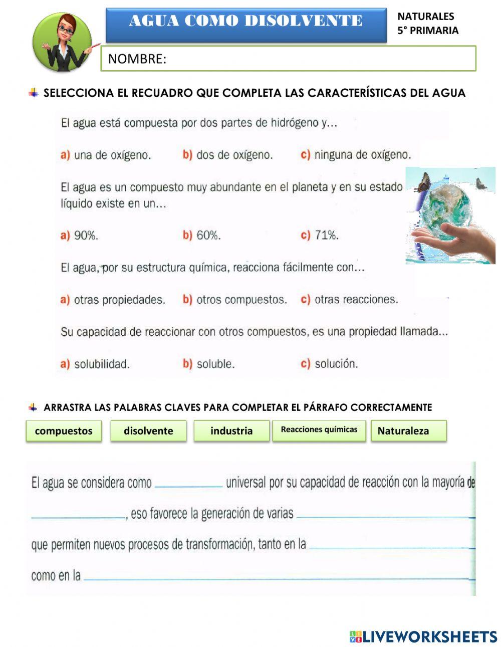Importancia del agua