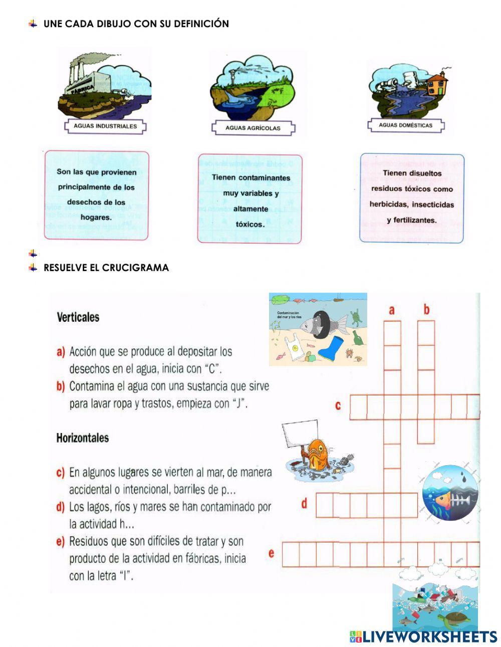 Importancia del agua