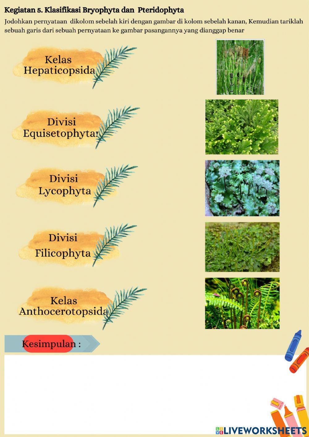 LKPD Bryophyta dan Pteridophyta