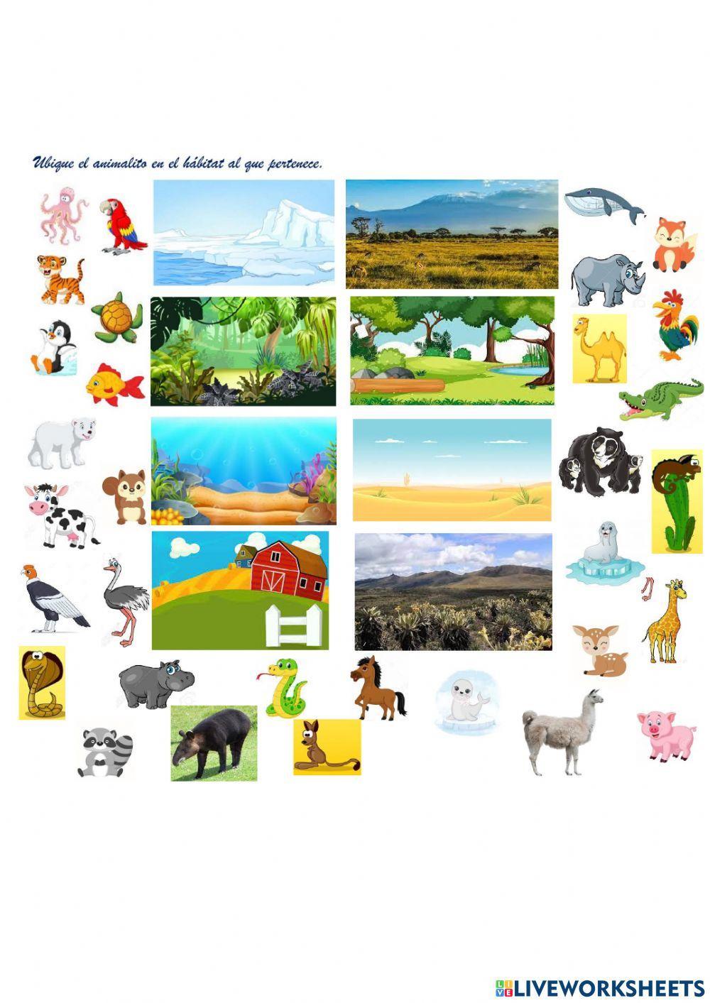 El hábitat de los animales 2