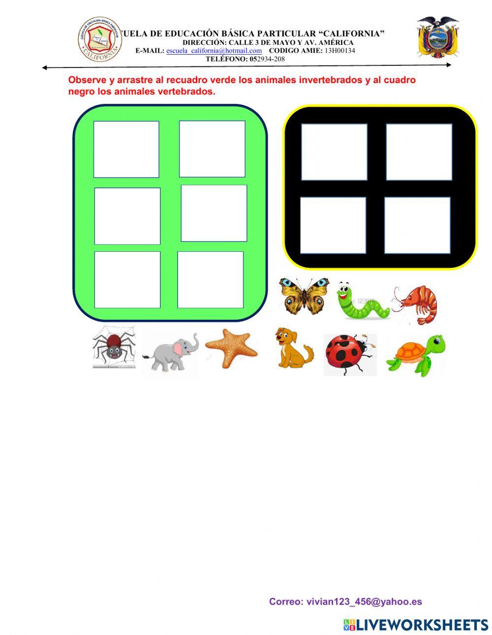 Características de los animales invertebrados