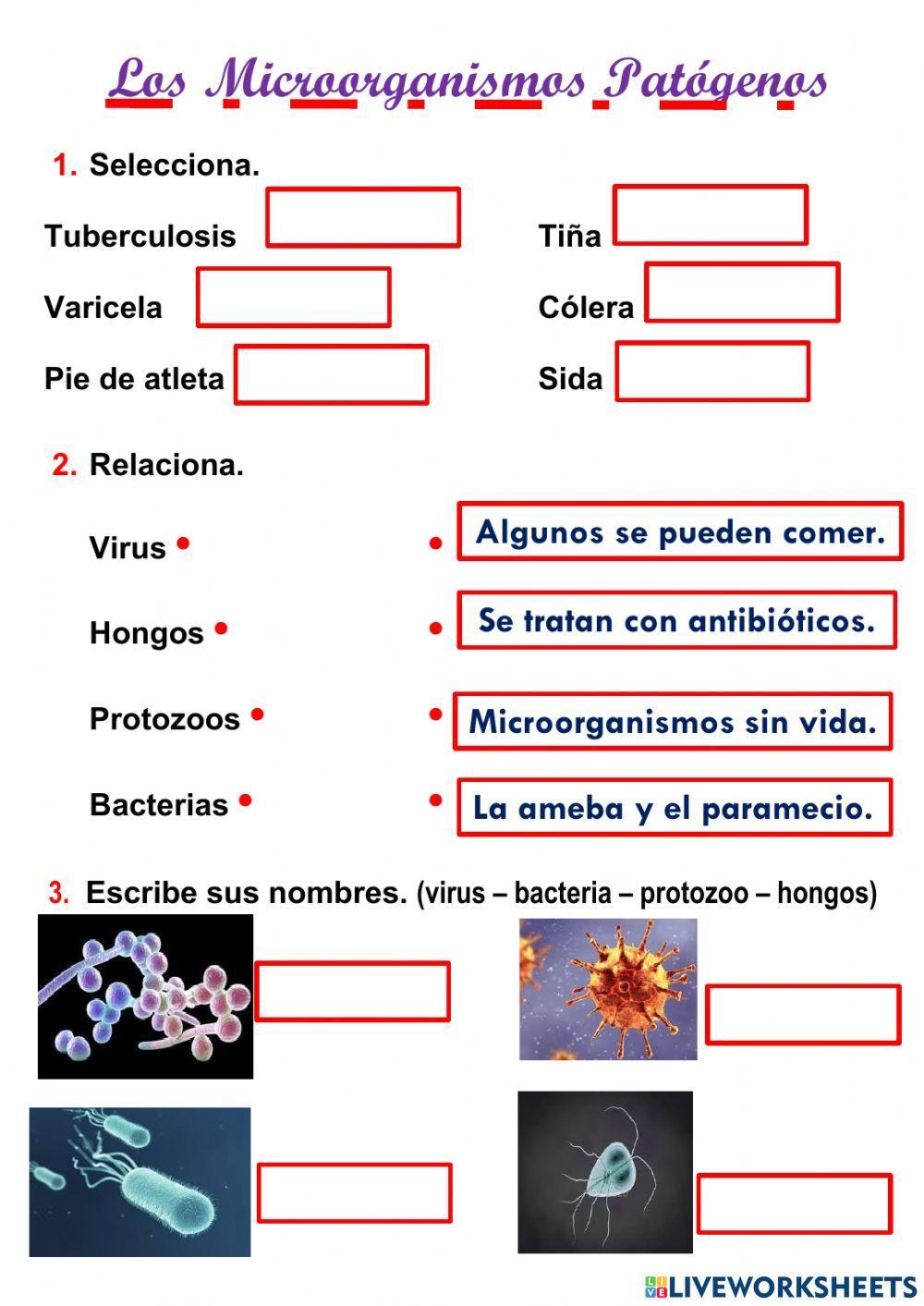 Microorganismos patógenos