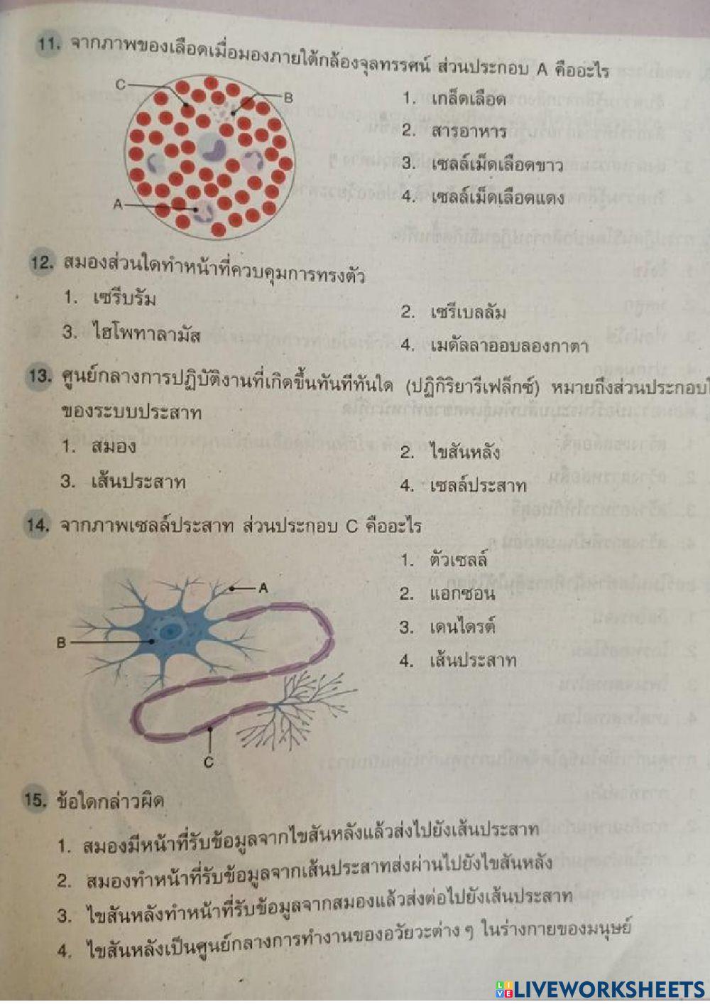 สอบท้ายหน่วยที่ 1 ระบบร่างกายมนุษย์