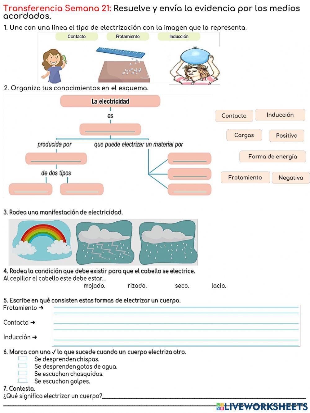 C.N-Transferencia Semana 21