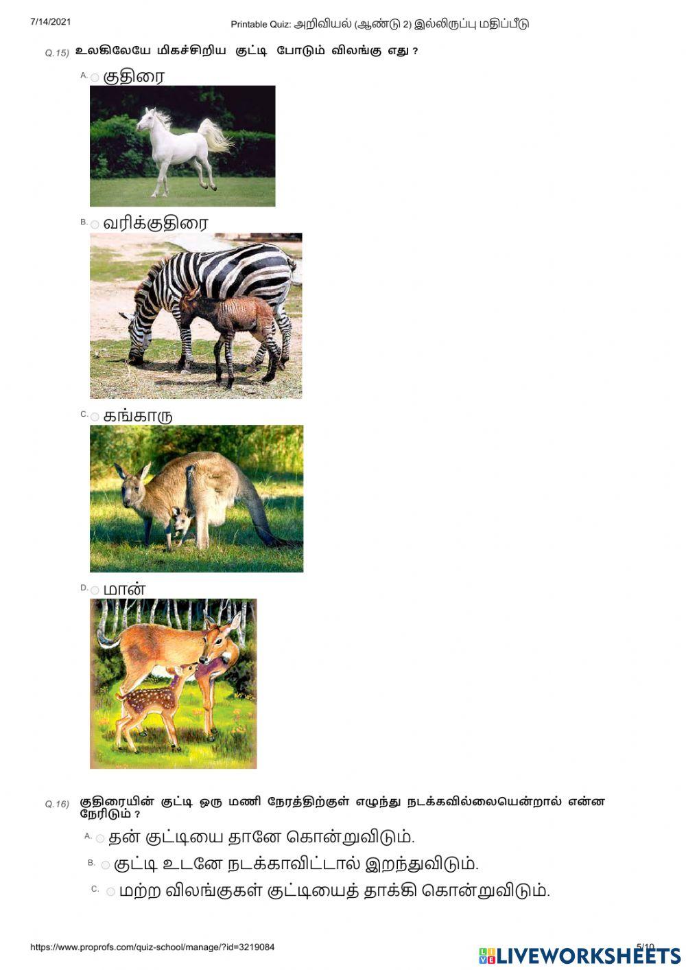 இல்லிருப்பு  மதிப்பீடு