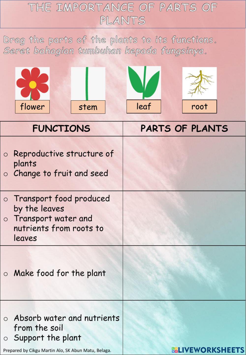 The Importance of Parts of Plants