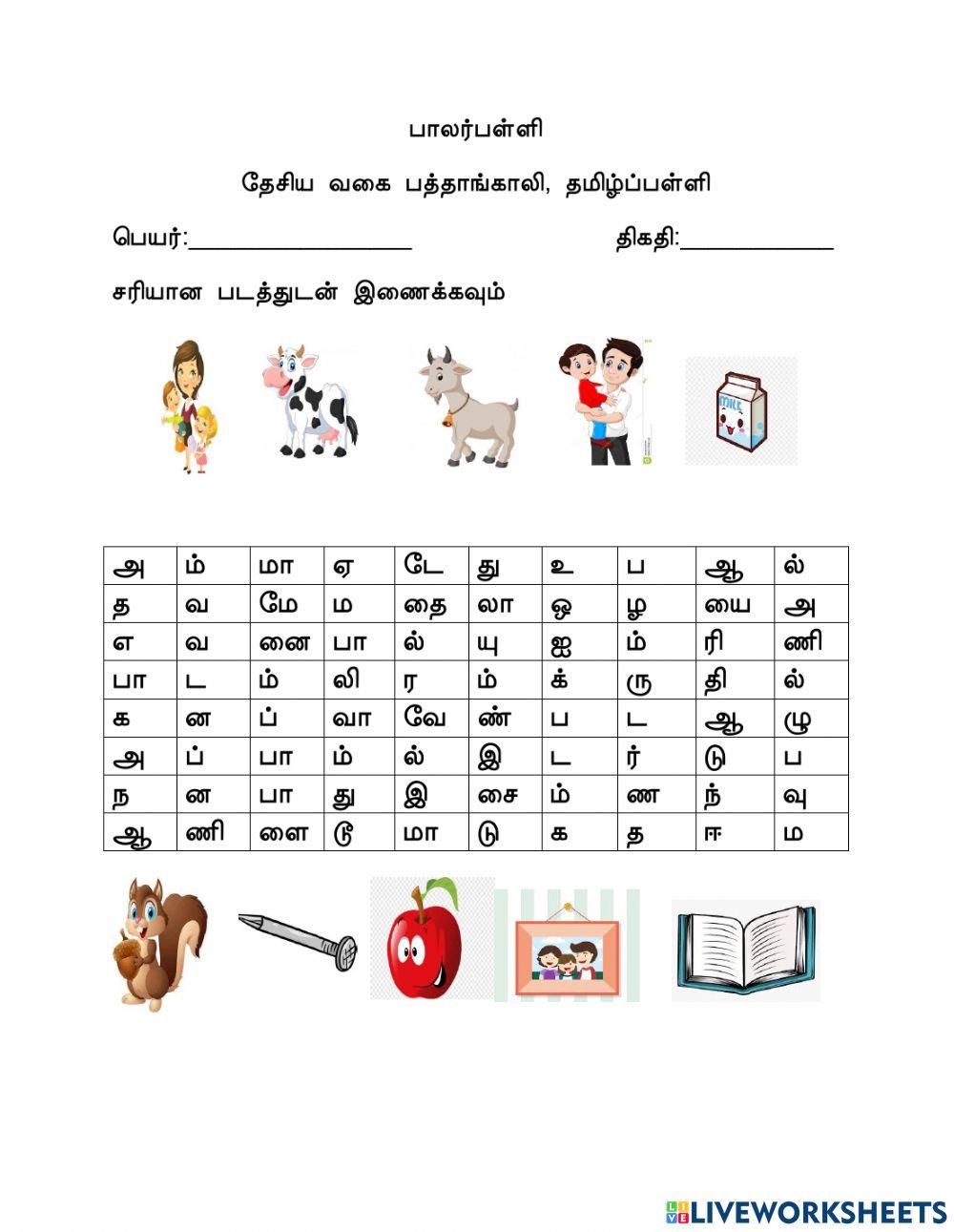 Wordseach worksheet Live Worksheets Wordseach worksheet Live Worksheets