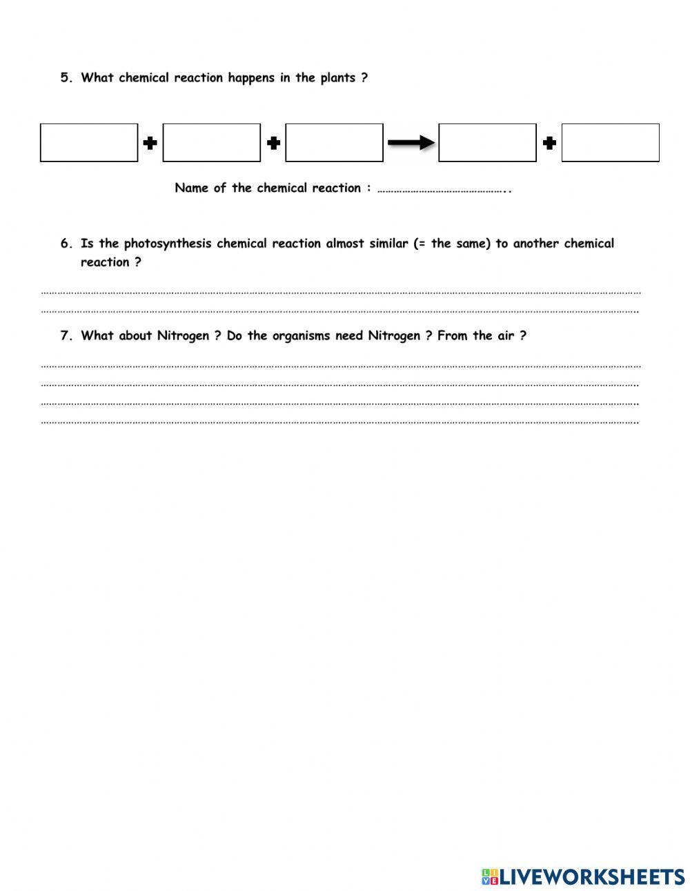 Interactions between organisms and air worksheet Live Worksheets