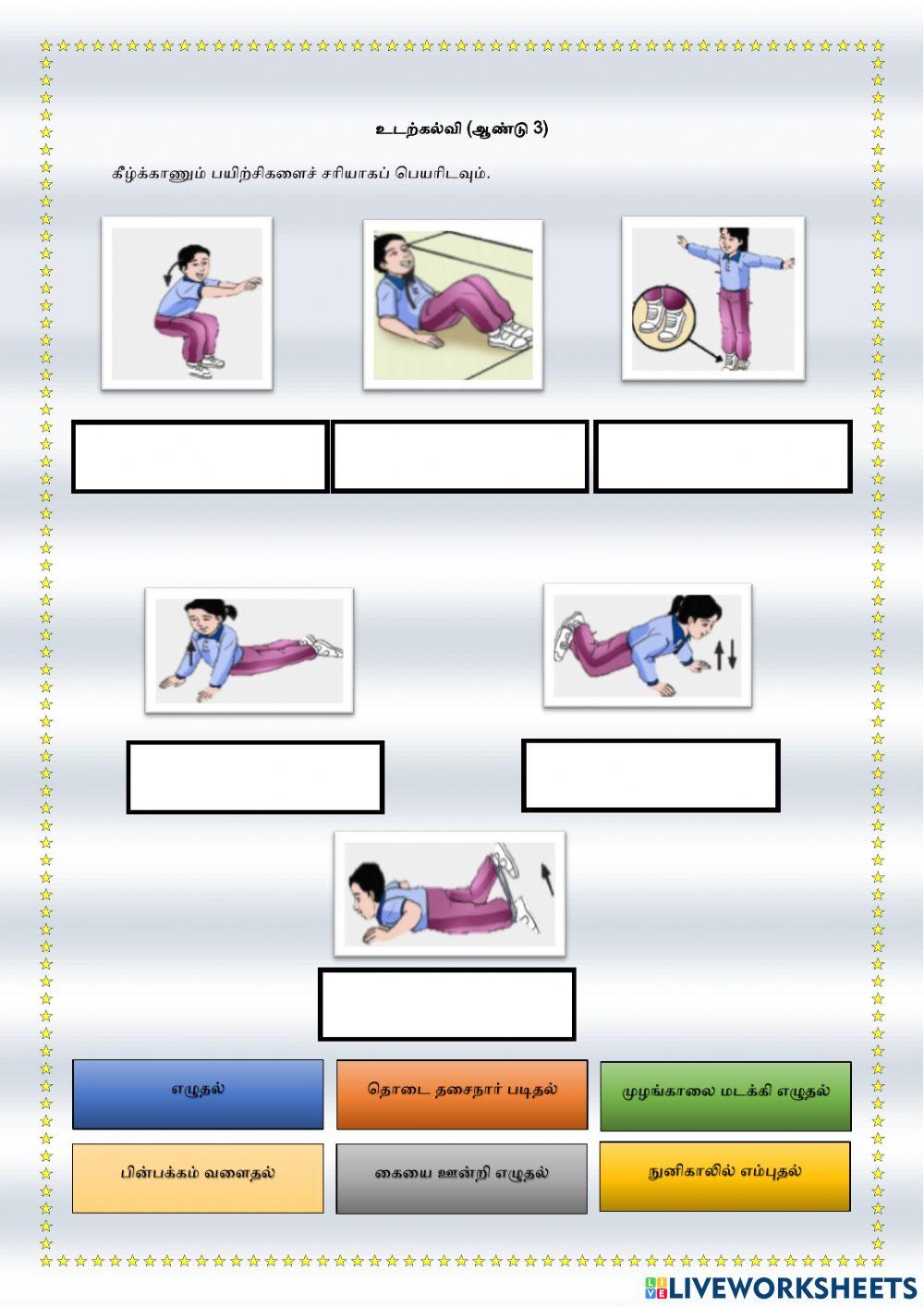 தசைநார் உறுதியும் வலிமையும்