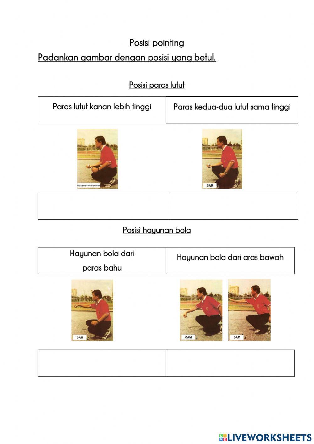 Teknik pointing permainan petanque