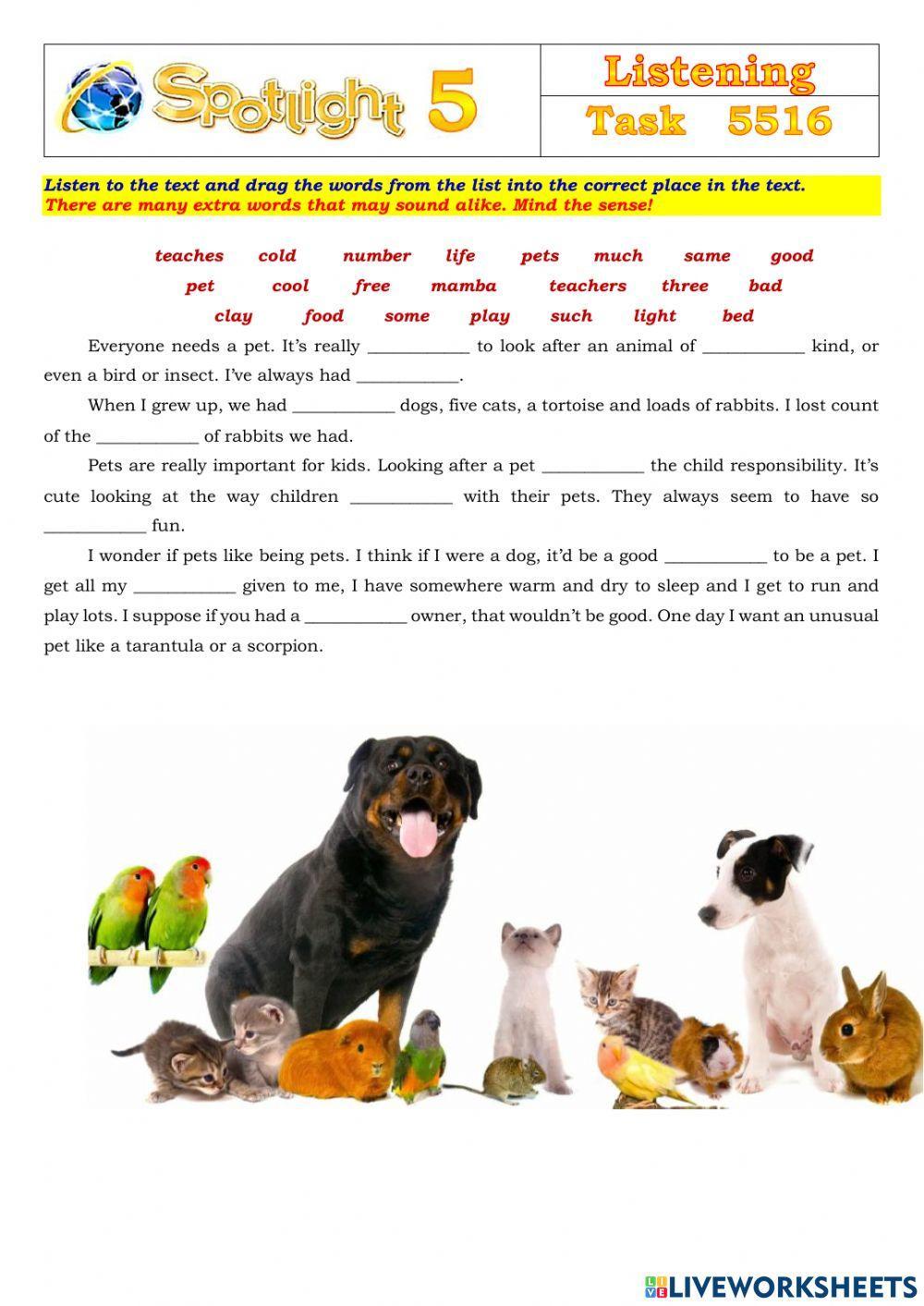 Spotlight 5 Task 5516