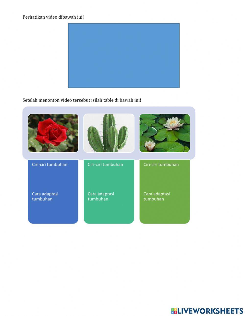 LKPD Kelas 6 Tema 2 Subtema 1