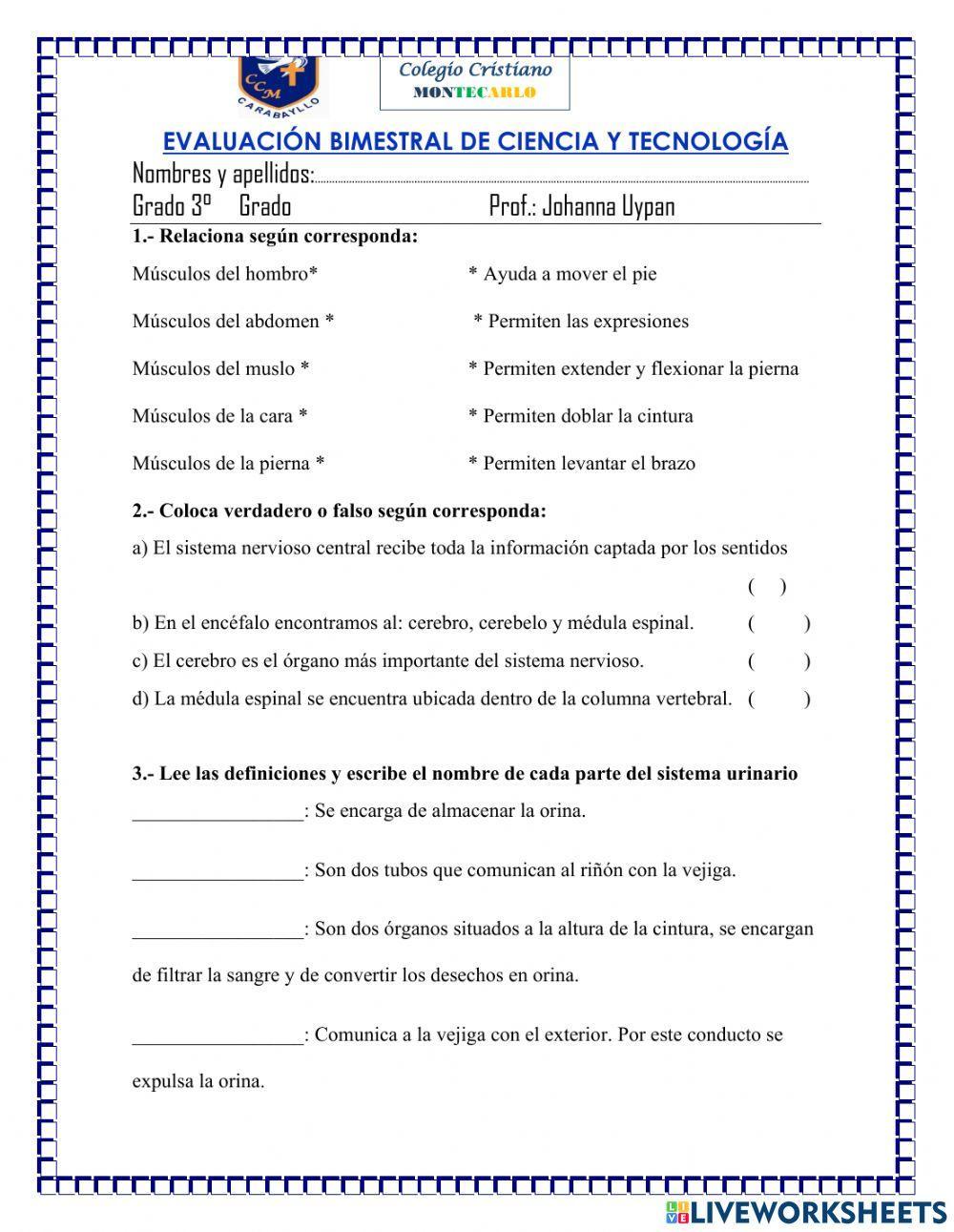 Evaluación bimestral de ciencia y tecnologia