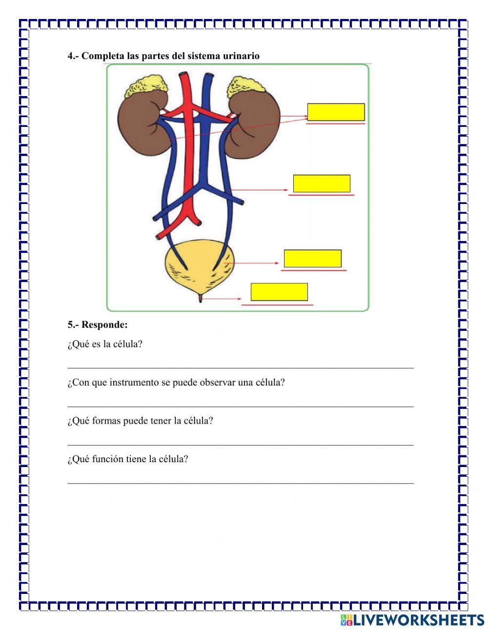 Evaluación bimestral de ciencia y tecnologia
