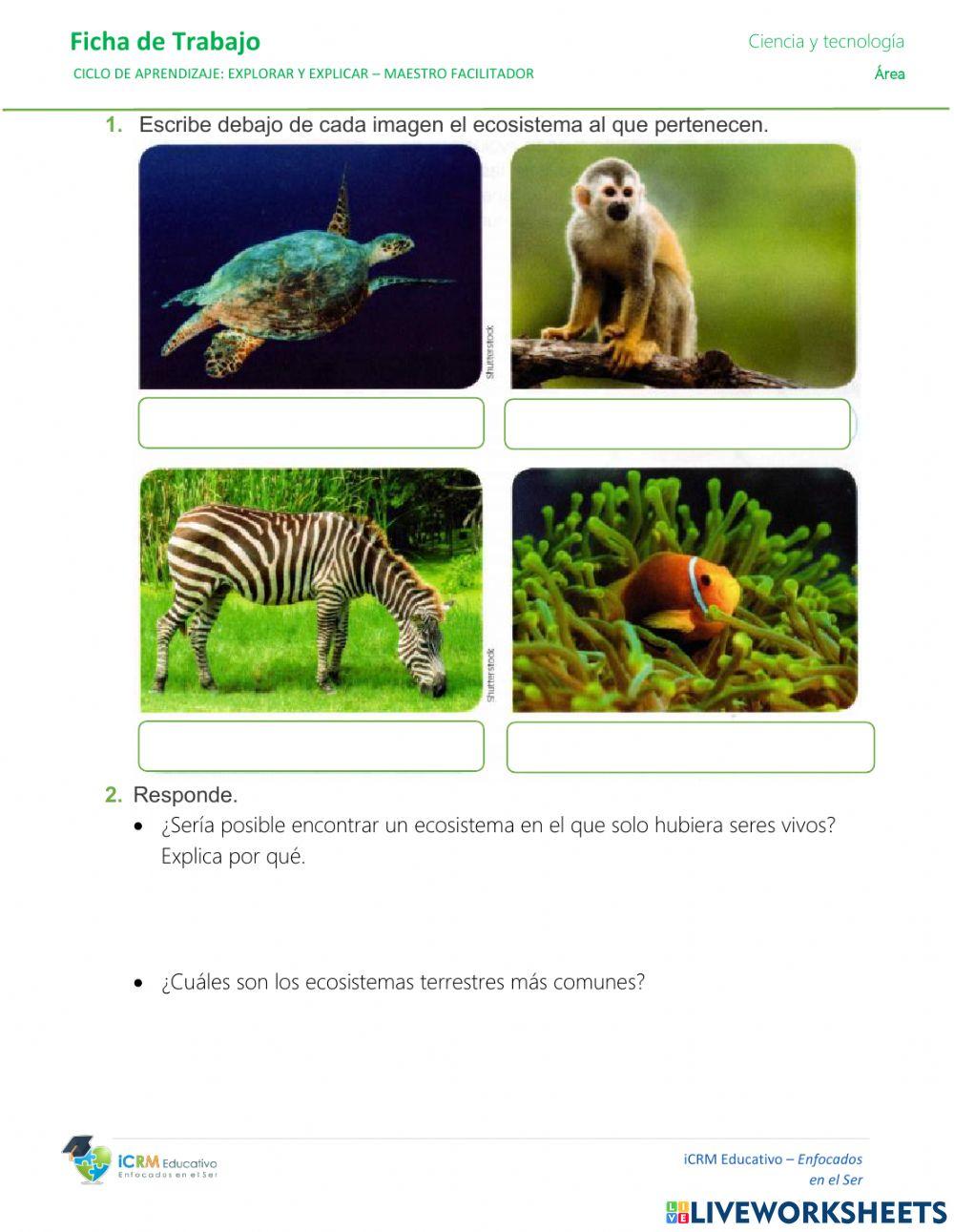 Tipos de ecosistemas