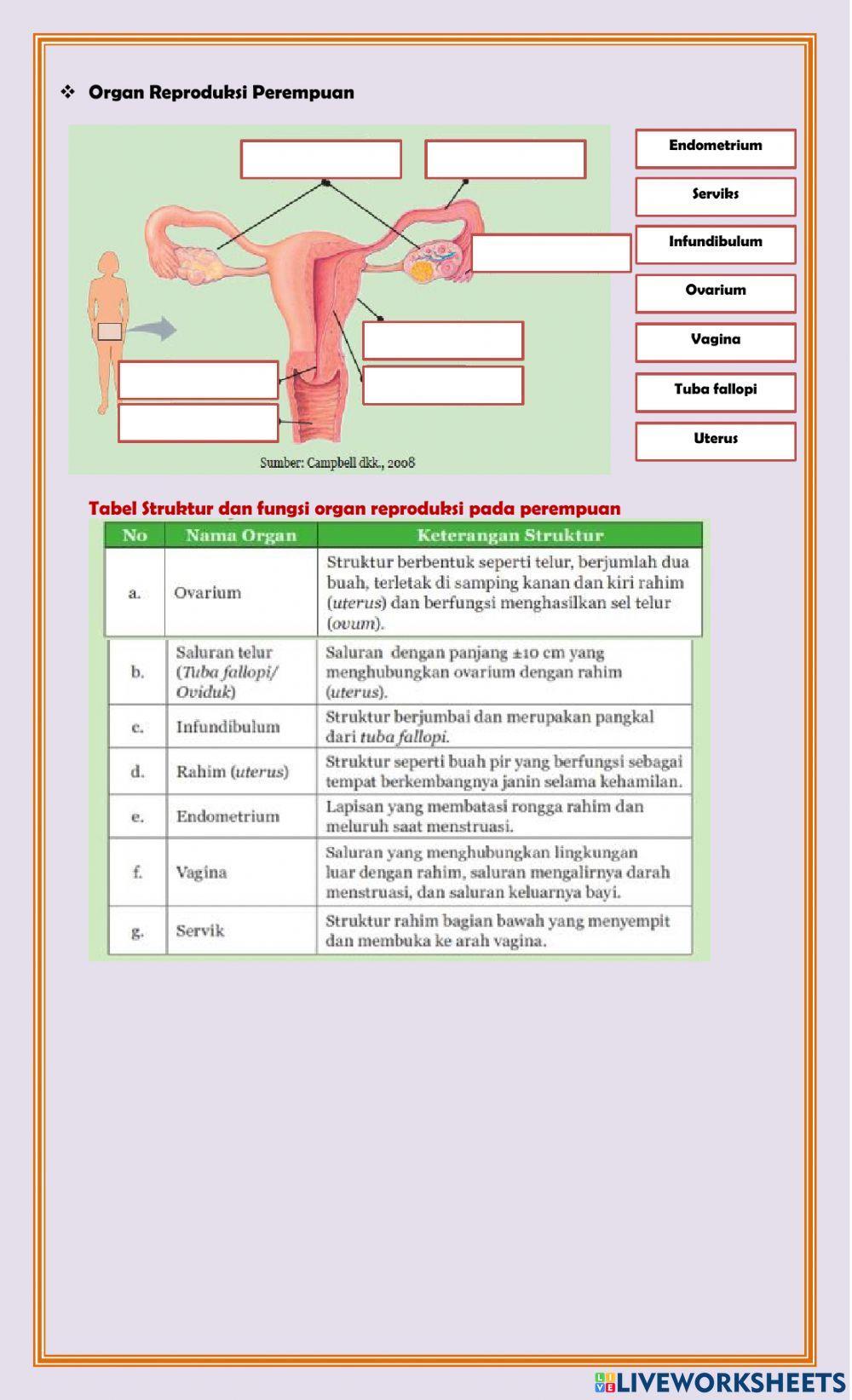 LKPD Sistem Reproduksi Manusia