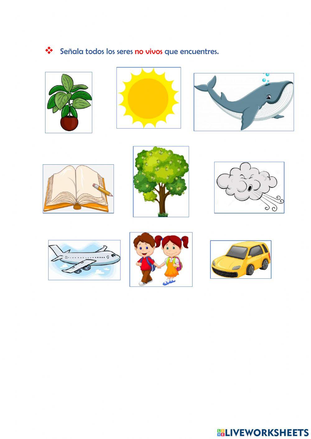 Los seres vivos y no vivos
