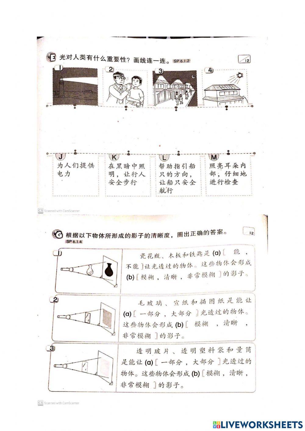 二年级科学：影子