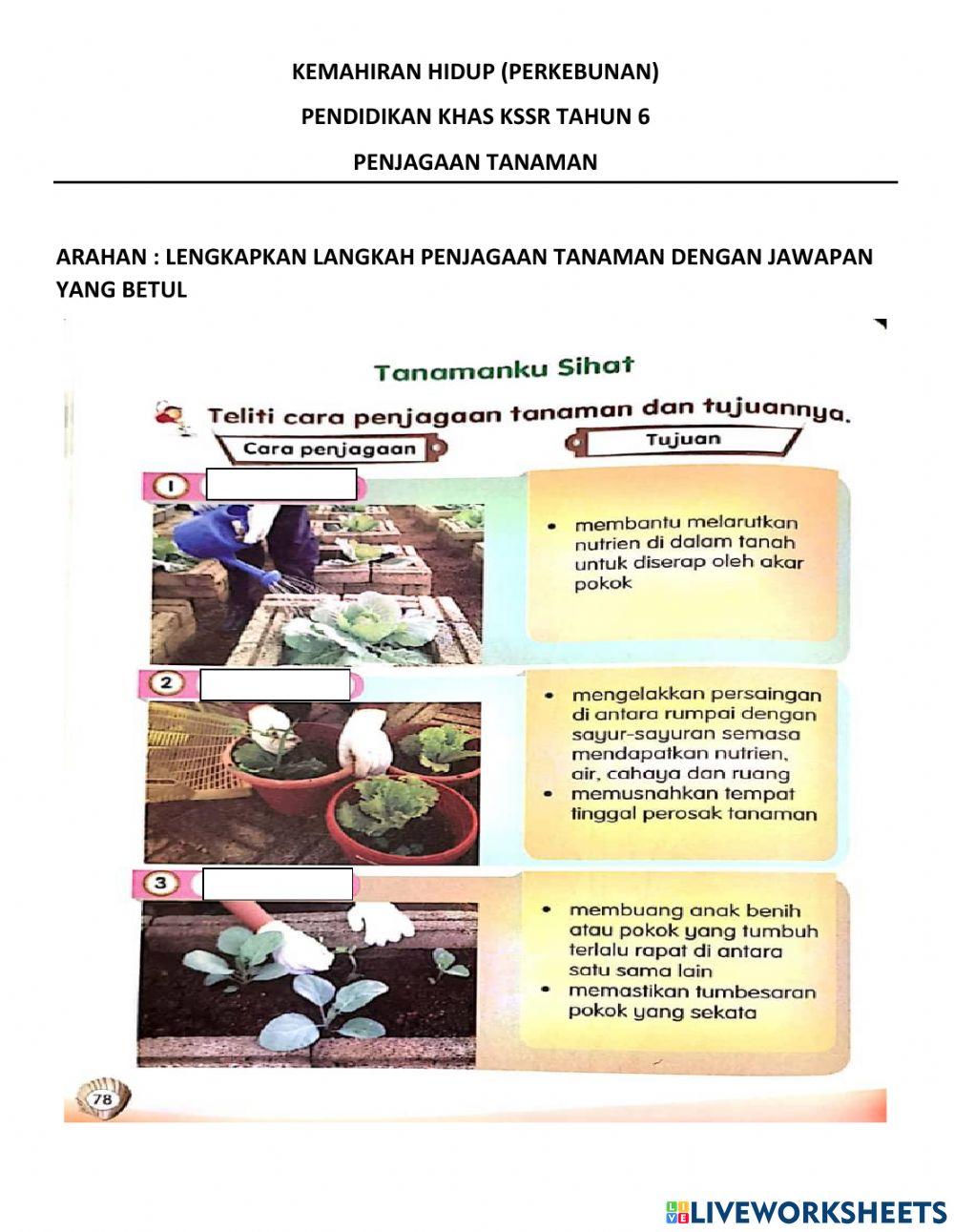 Penjagaan tanaman