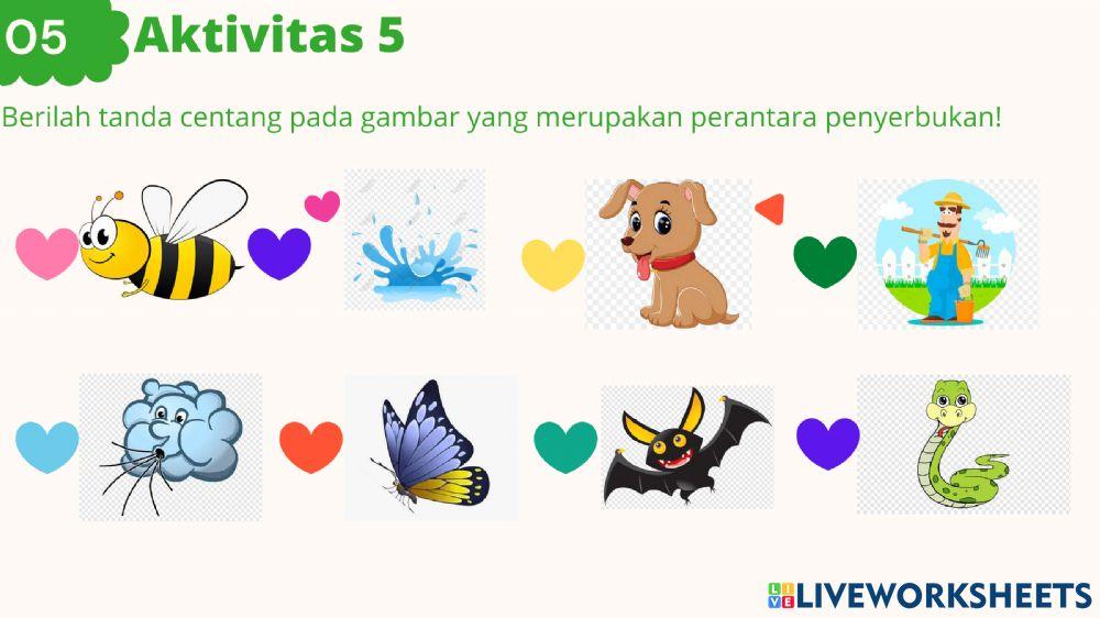 Perkembangbiakan Tumbuhan secara Generatif