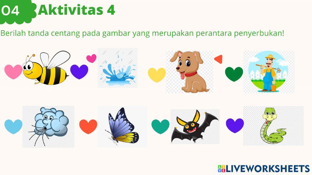 Perkembangbiakan Tumbuhan secara Generatif