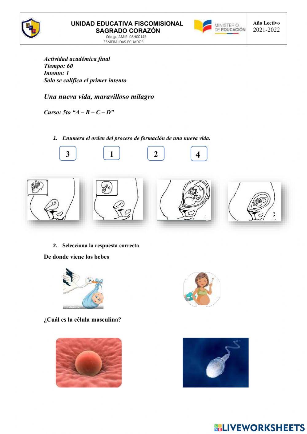 Una nueva vida, maravilloso milagro