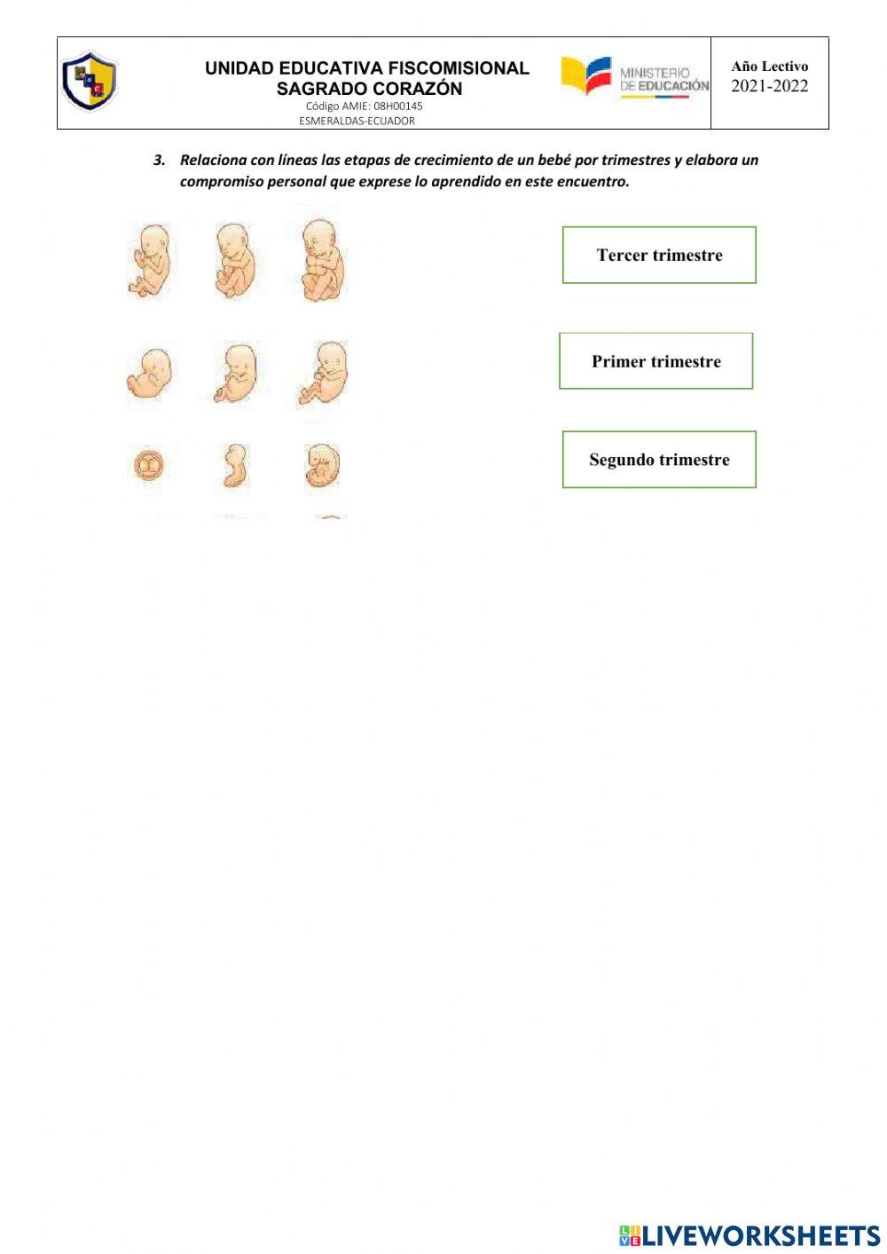 Una nueva vida, maravilloso milagro