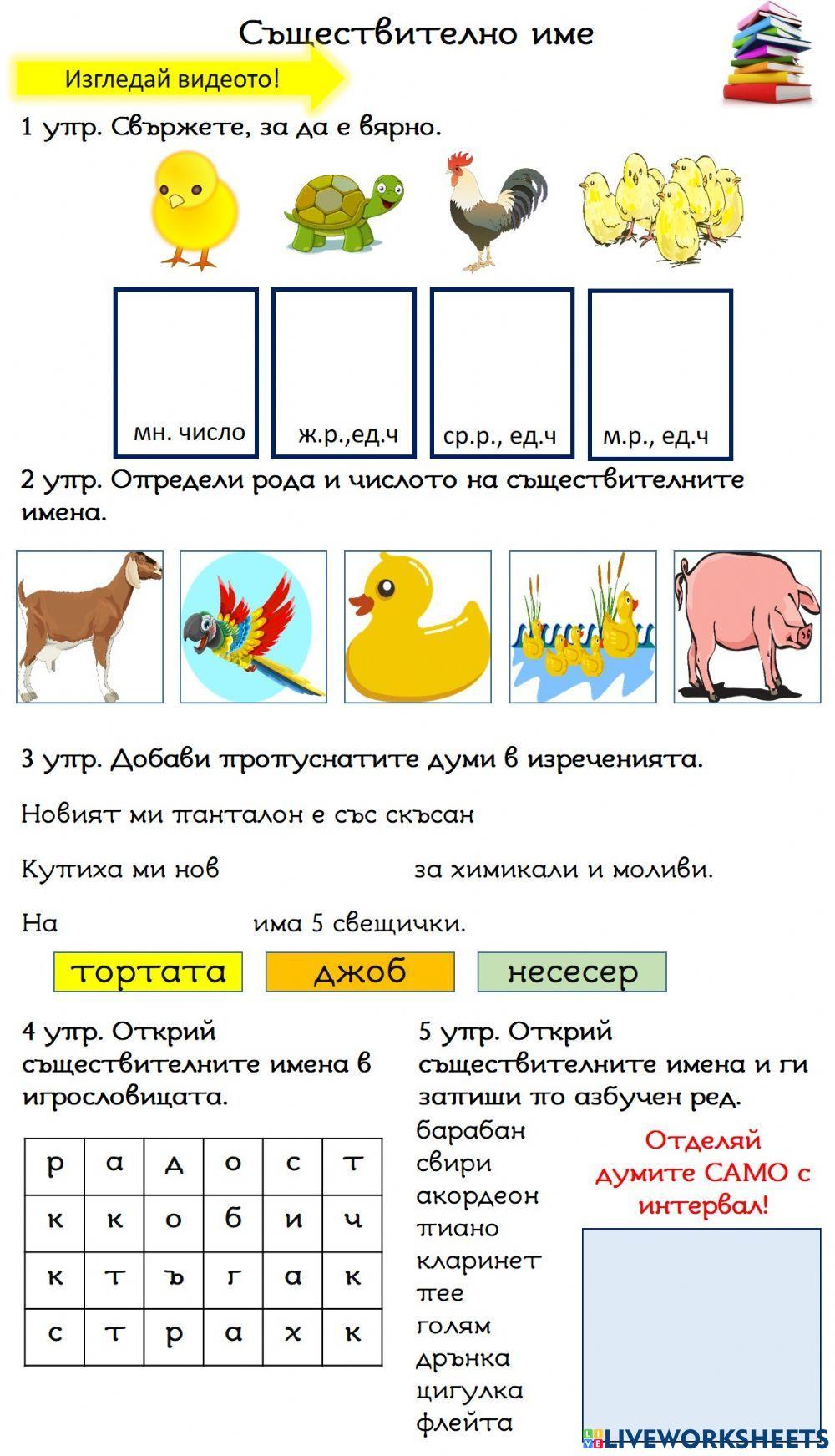 Род и число на съществителното име