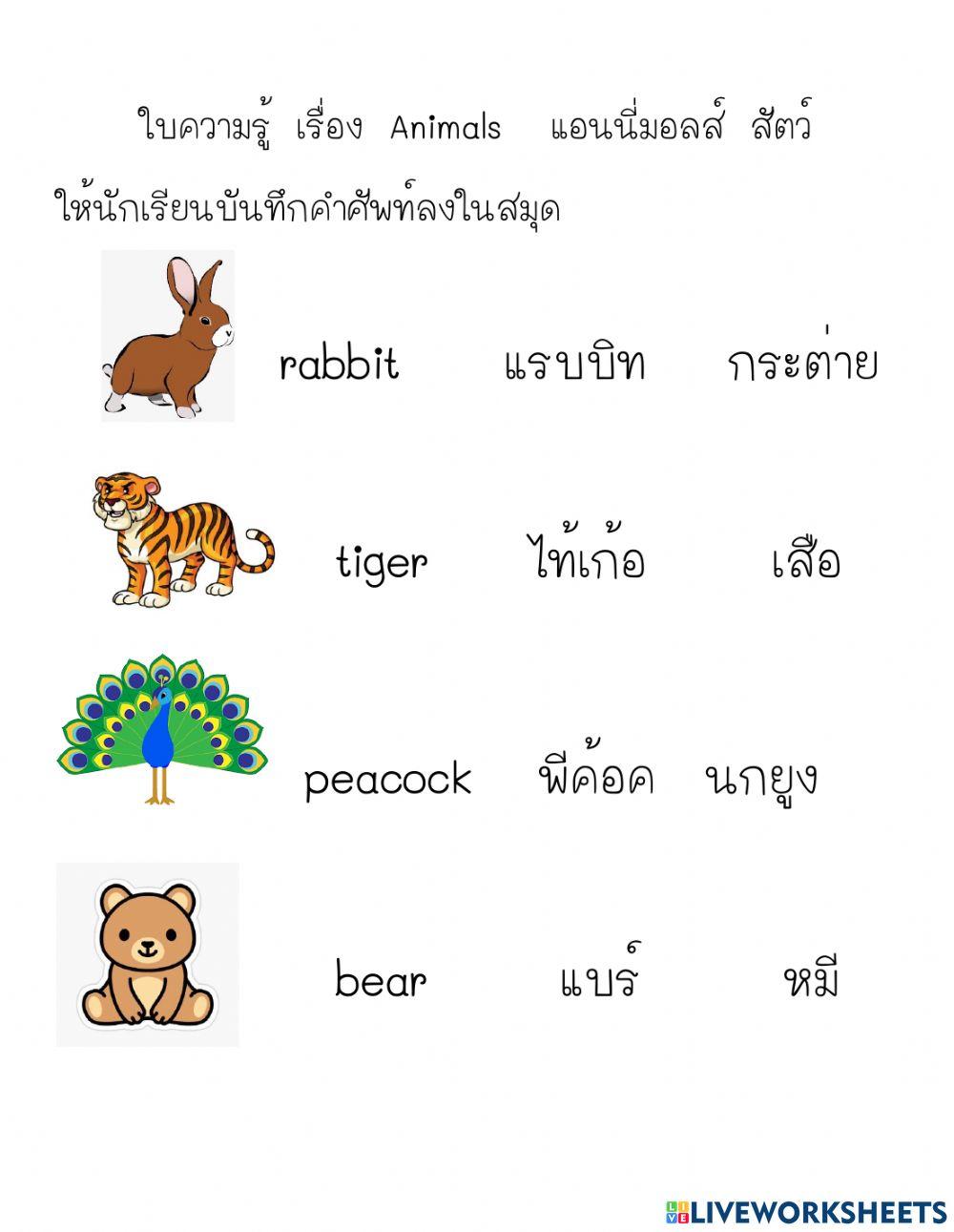 แบบฝึกหัด เรื่อง animals