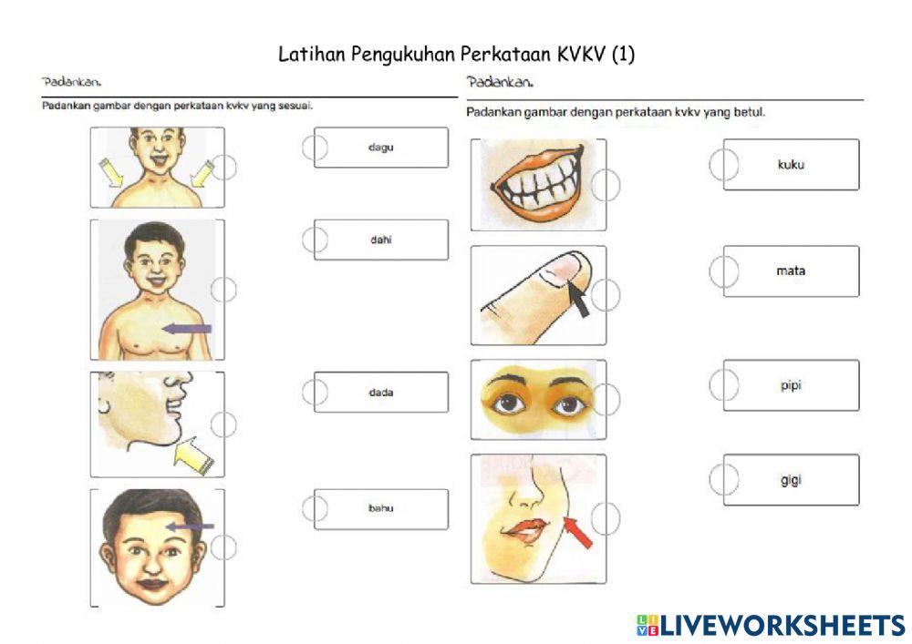 Latihan Pengukuhan perkataan KVKV 【1】